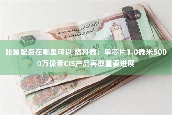 股票配资在哪里可以 格科微：单芯片1.0微米5000万像素CIS产品再取重要进展