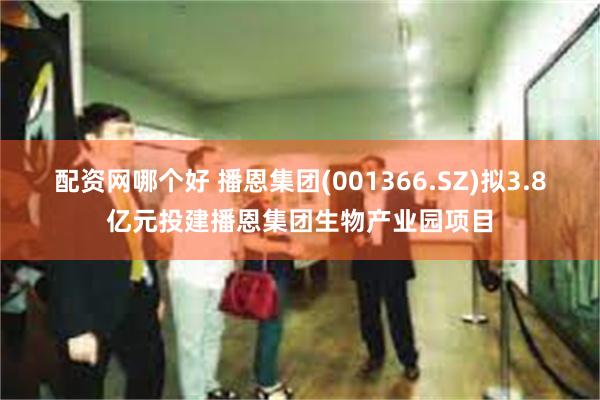 配资网哪个好 播恩集团(001366.SZ)拟3.8亿元投建播恩集团生物产业园项目