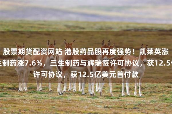 股票期货配资网站 港股药品股再度强势！凯莱英涨超14%，三生制药涨7.6%，三生制药与辉瑞签许可协议，获12.5亿美元首付款